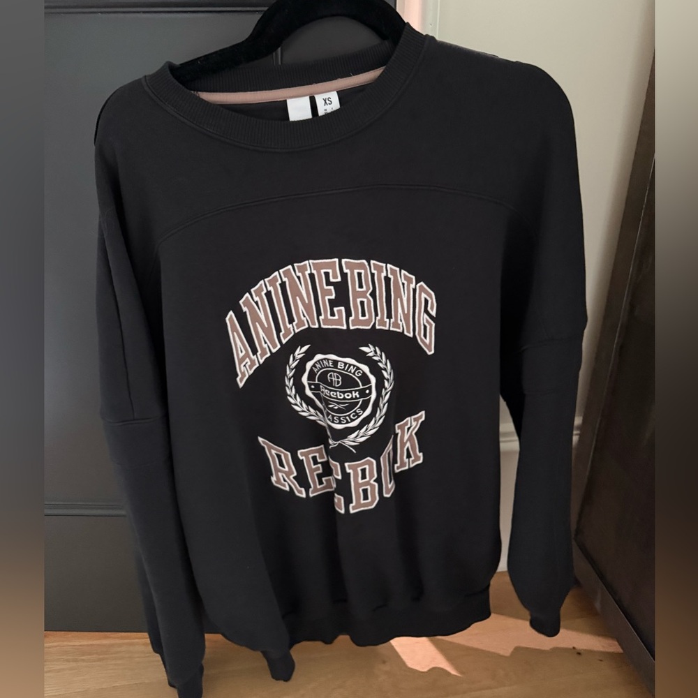 Anine bing sweatshirt worn once